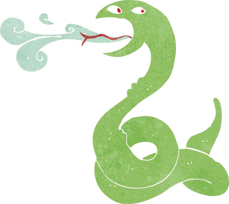 今期生肖有分身，冷风严清爽蛇羊打一准确生肖与警惕虚假宣传-全面释义、前沿解答解释落实