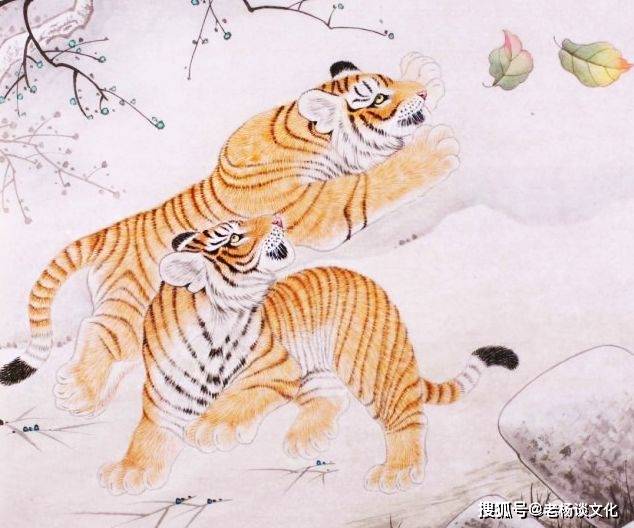 饱经风霜打一正确生肖精选解析、解释与落实、实证解答解释落实