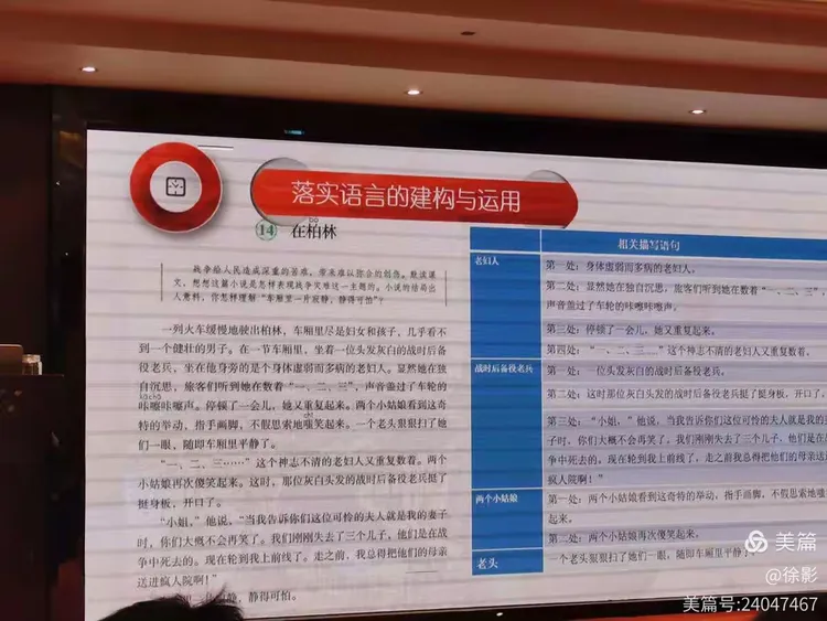 曲曲弯弯打一最佳生肖详细解答、前沿解答解释落实